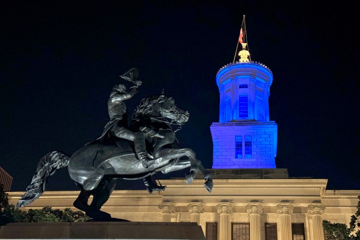 a bird flying in front of a building