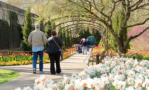 a group of people in a garden