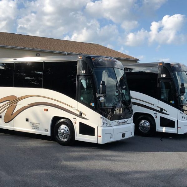 Three white and black executive buses parked in a lot under a blue sky with clouds.